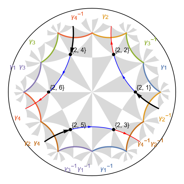 Vertices tessellation model {6,4}-lattice